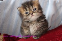 /album/fotogaleria/img-3339-jpg/