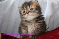 /album/fotogaleria/img-3340-jpg/
