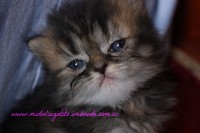 /album/fotogaleria/img-3348-jpg/