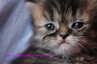/album/fotogaleria/img-3350-jpg/