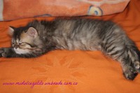 /album/diario/img-3745-jpg/